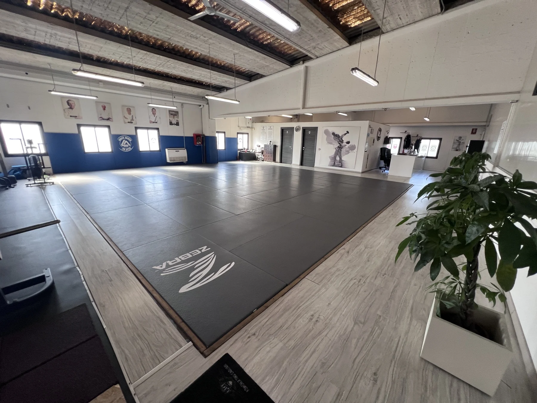 Tatame della Roger Gracie Academy Cagliari