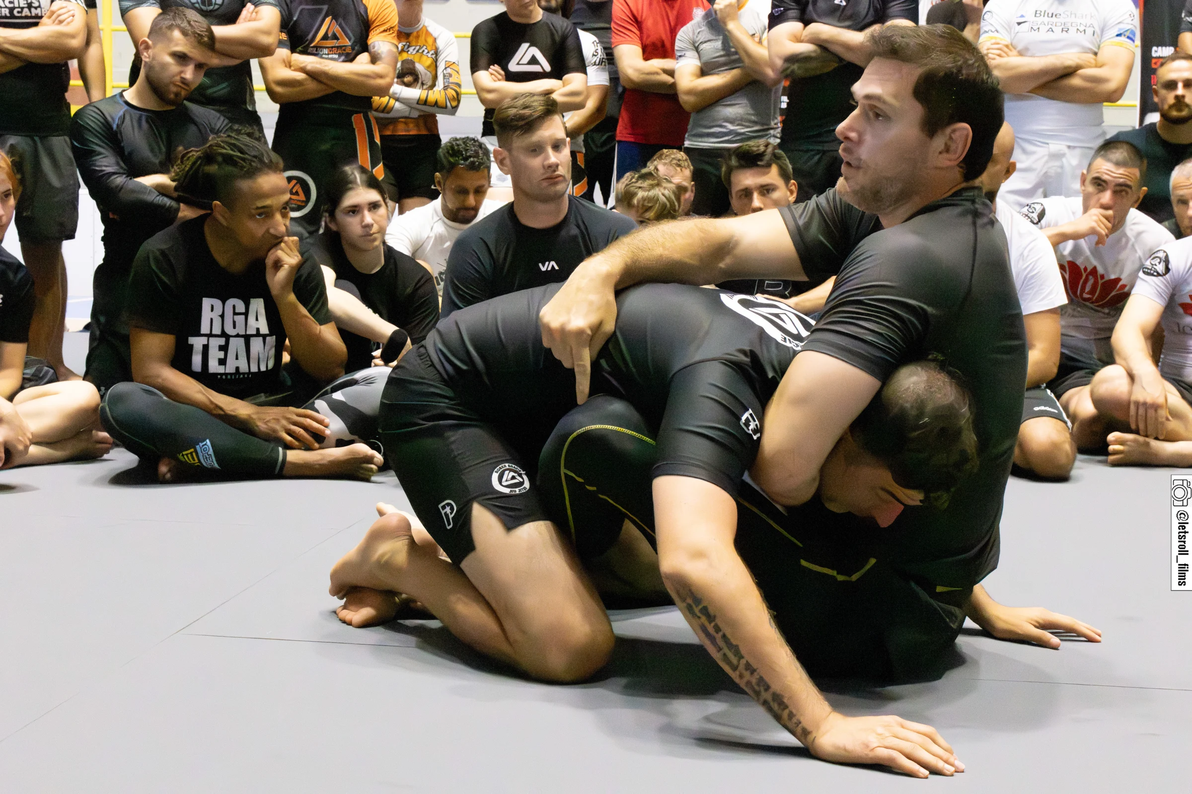 NoGi